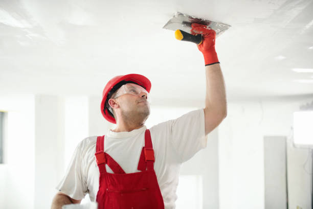 Best Commercial Painting  in Essex, IL